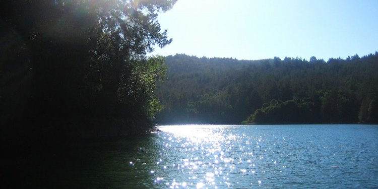 FORESTDWELLER: Loch Lomond